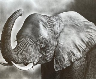 Elephant with Tusks