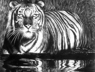 Reflective Tiger