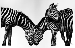 3 Zebras