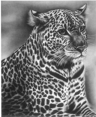 Furry Leopard